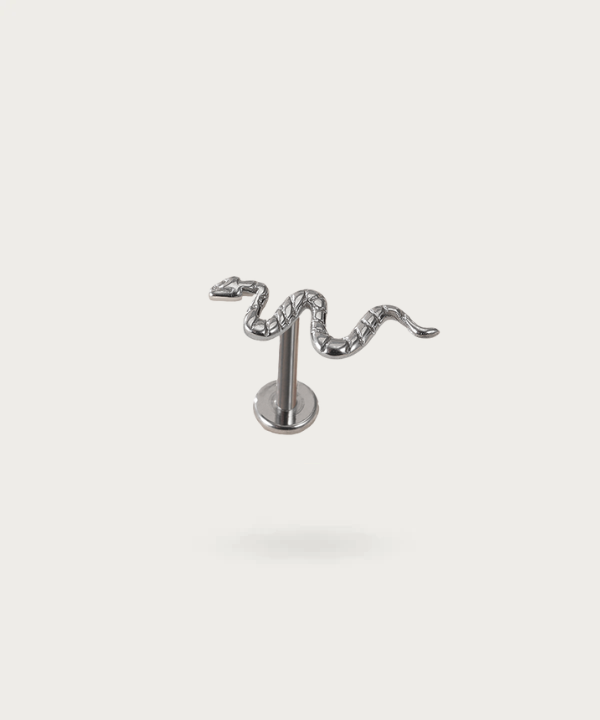 pendientes de serpiente de plata tragus