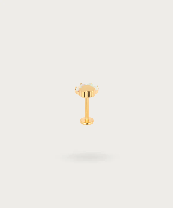 piercing helix oro y opalo pata de perro