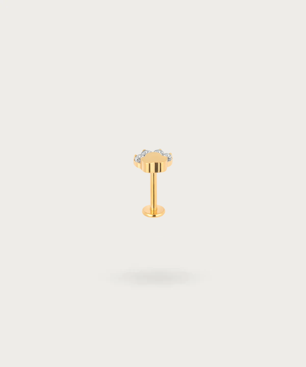 piercing helix oro pata de perro