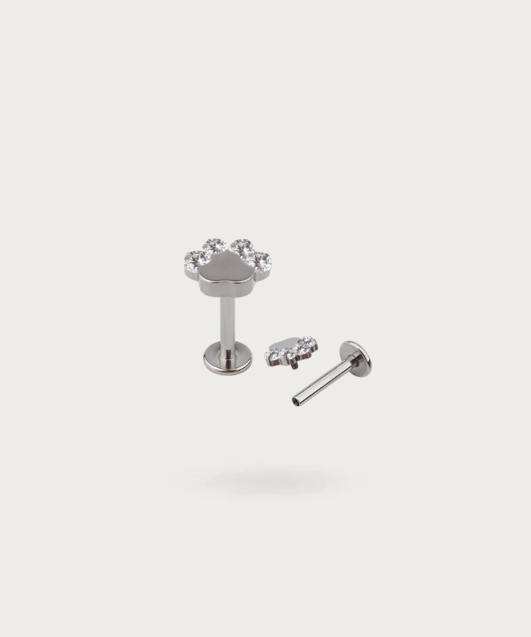 piercing helix plata pata de perro close up