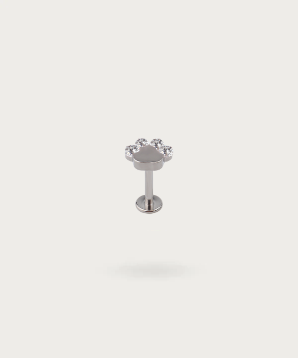 piercing helix plata pata de perro