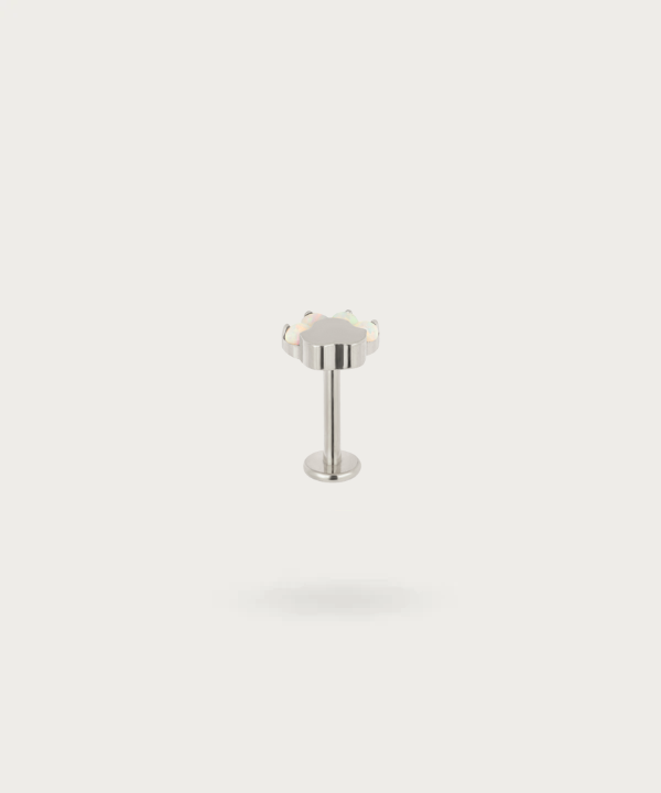 piercing helix plata y opalo pata de perro